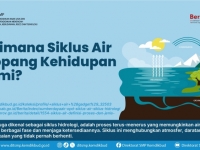 Bagaimana Siklus Air Menopang Kehidupan di Bumi?